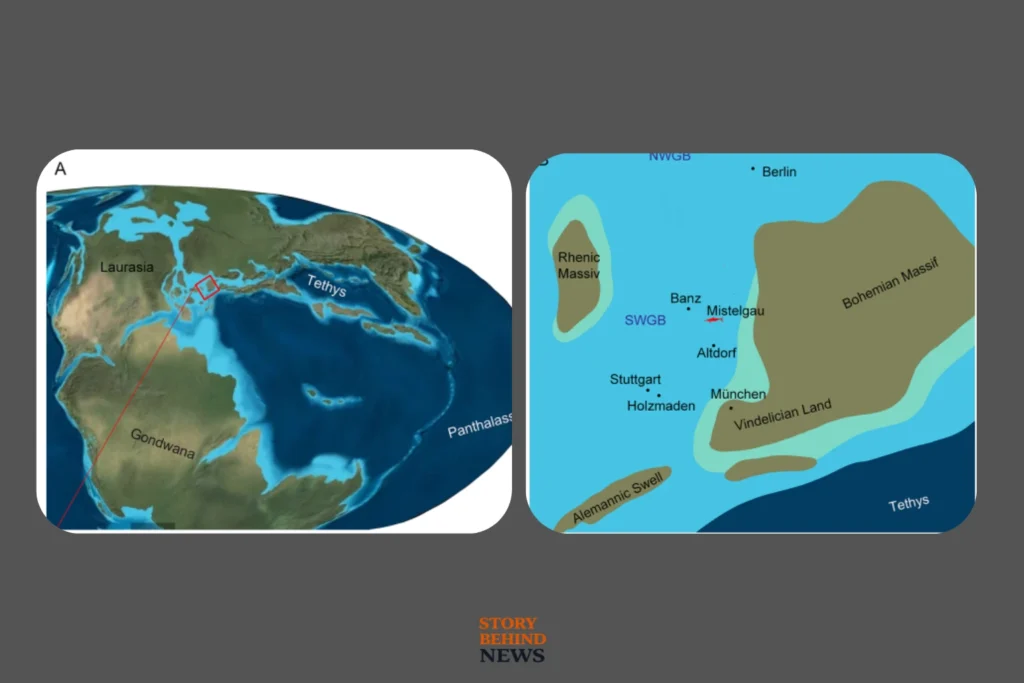 The Place of 180-Million-Year-Old Ichthyosaur With 100 Teeth Fossil Found